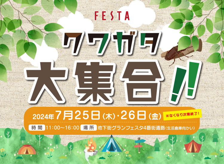 クワガタ 大集合！！