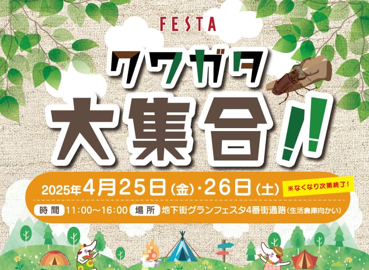 クワガタ 大集合！！